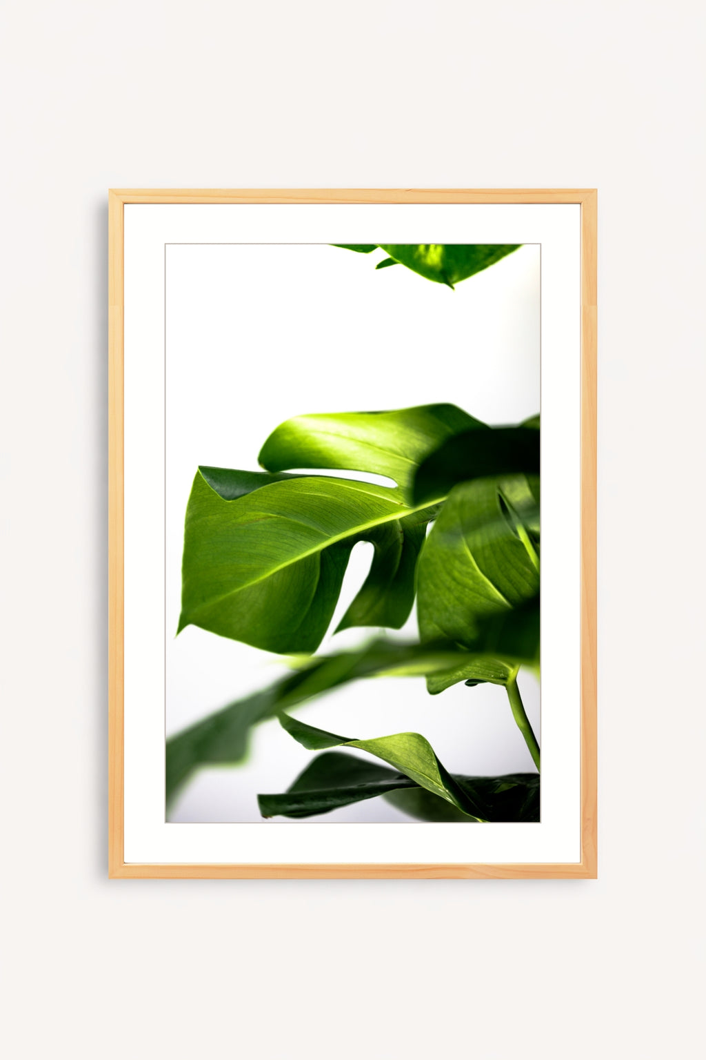 Greenery