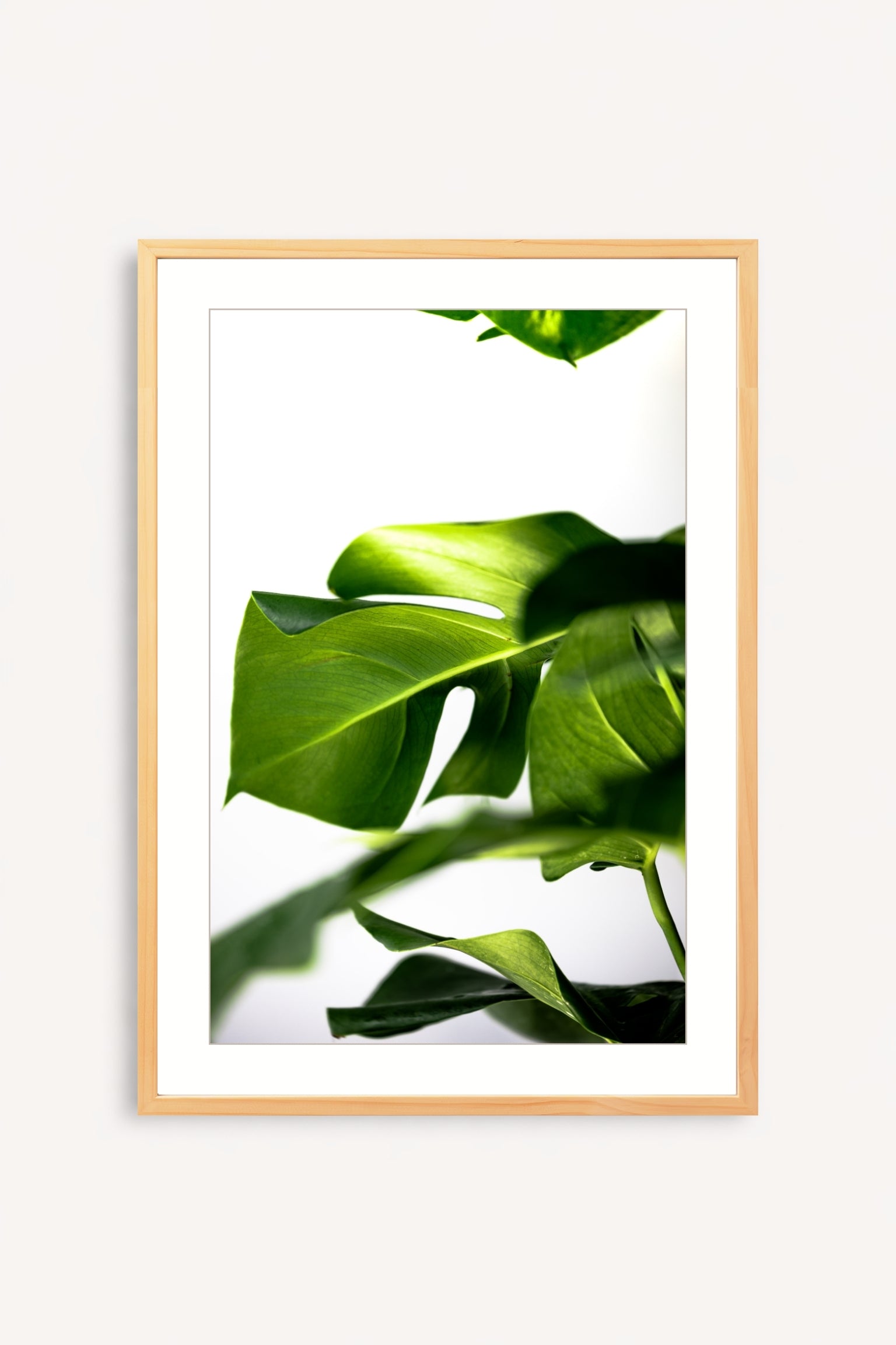 Greenery