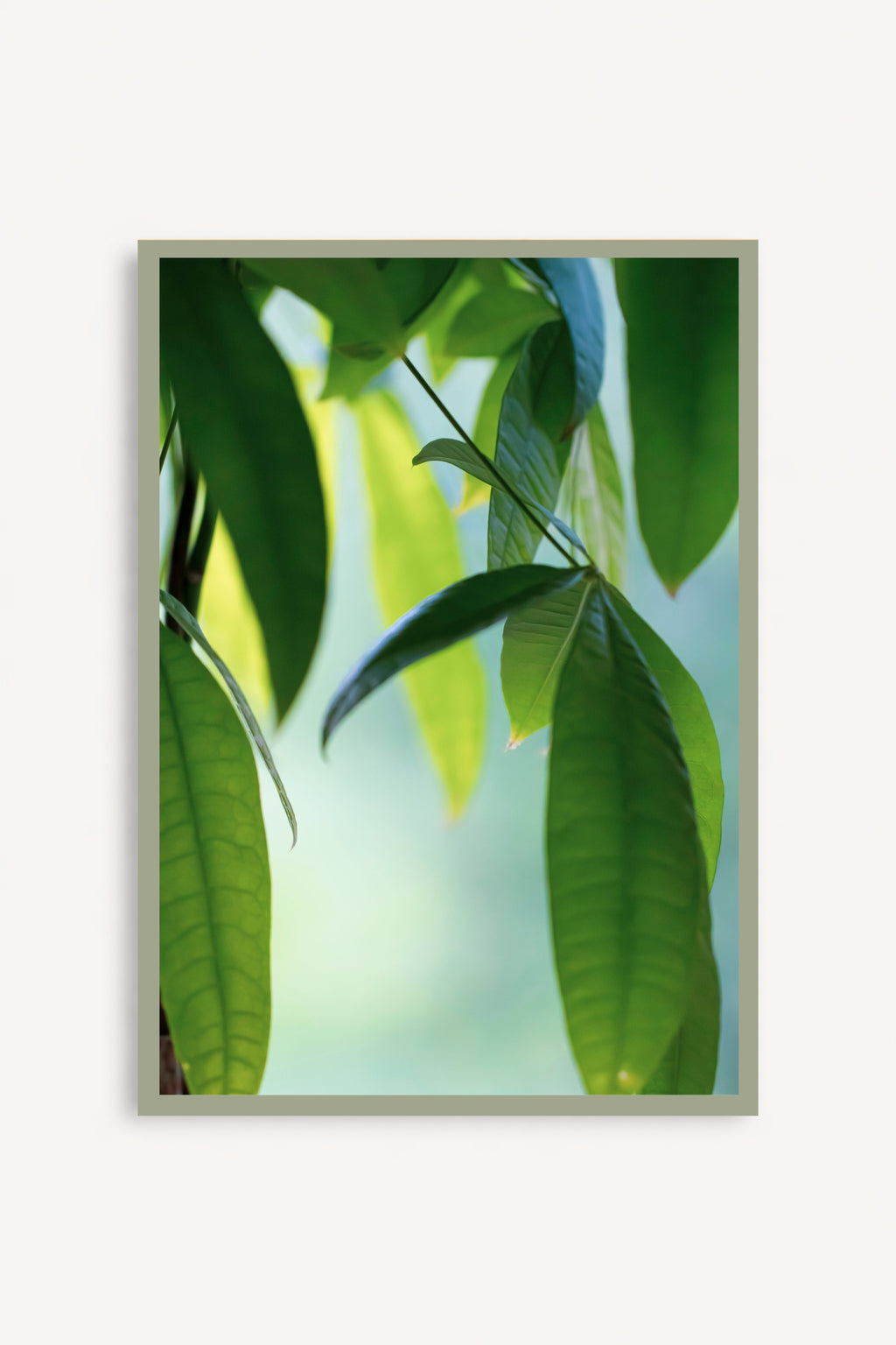 Cuadro Abanico Verde