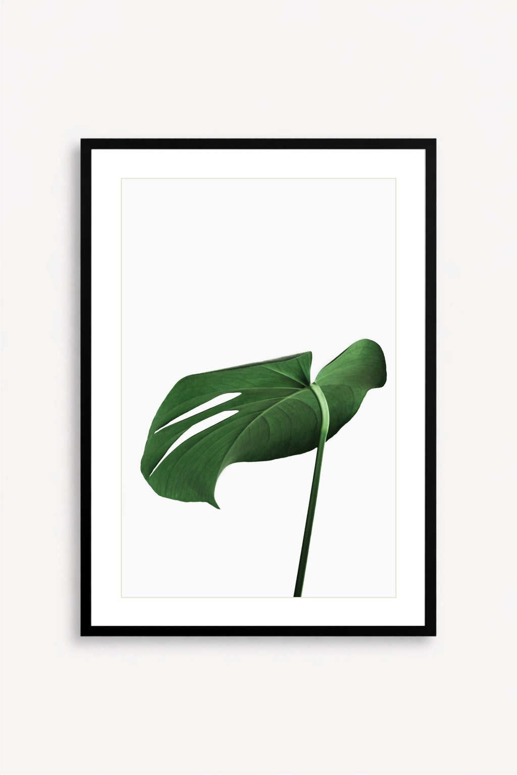 Soft Green
