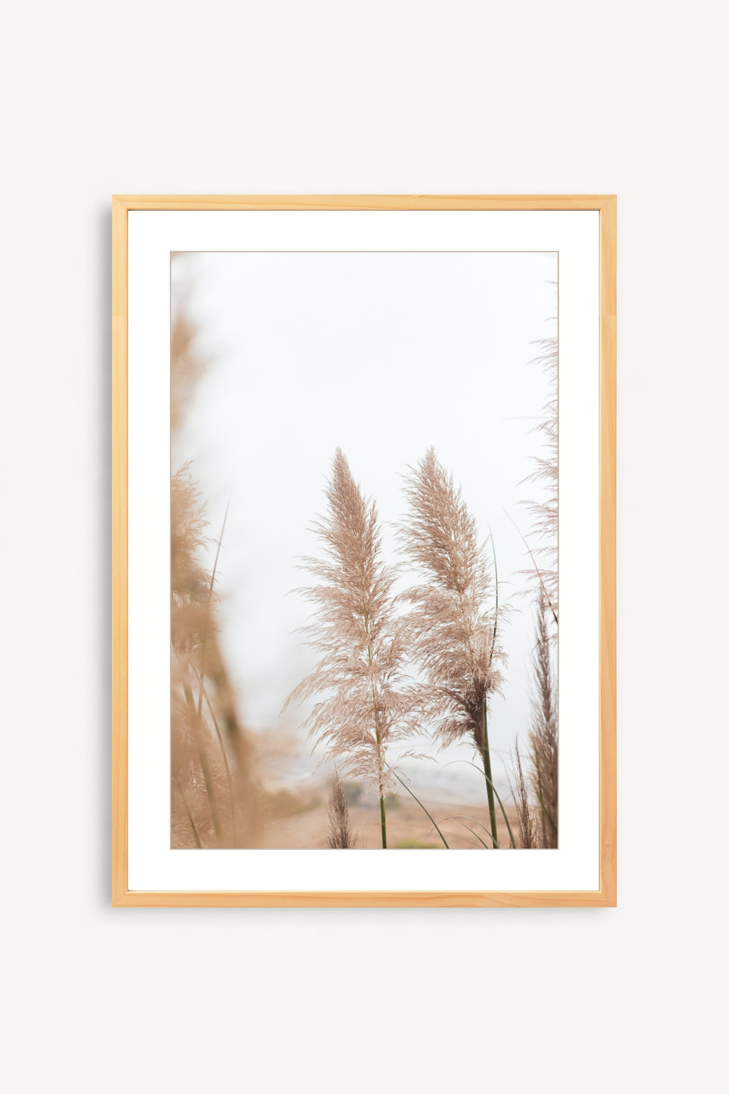 Pampas I