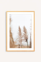 Pampas I
