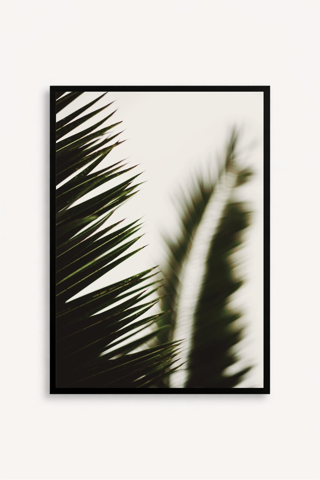 Palma I