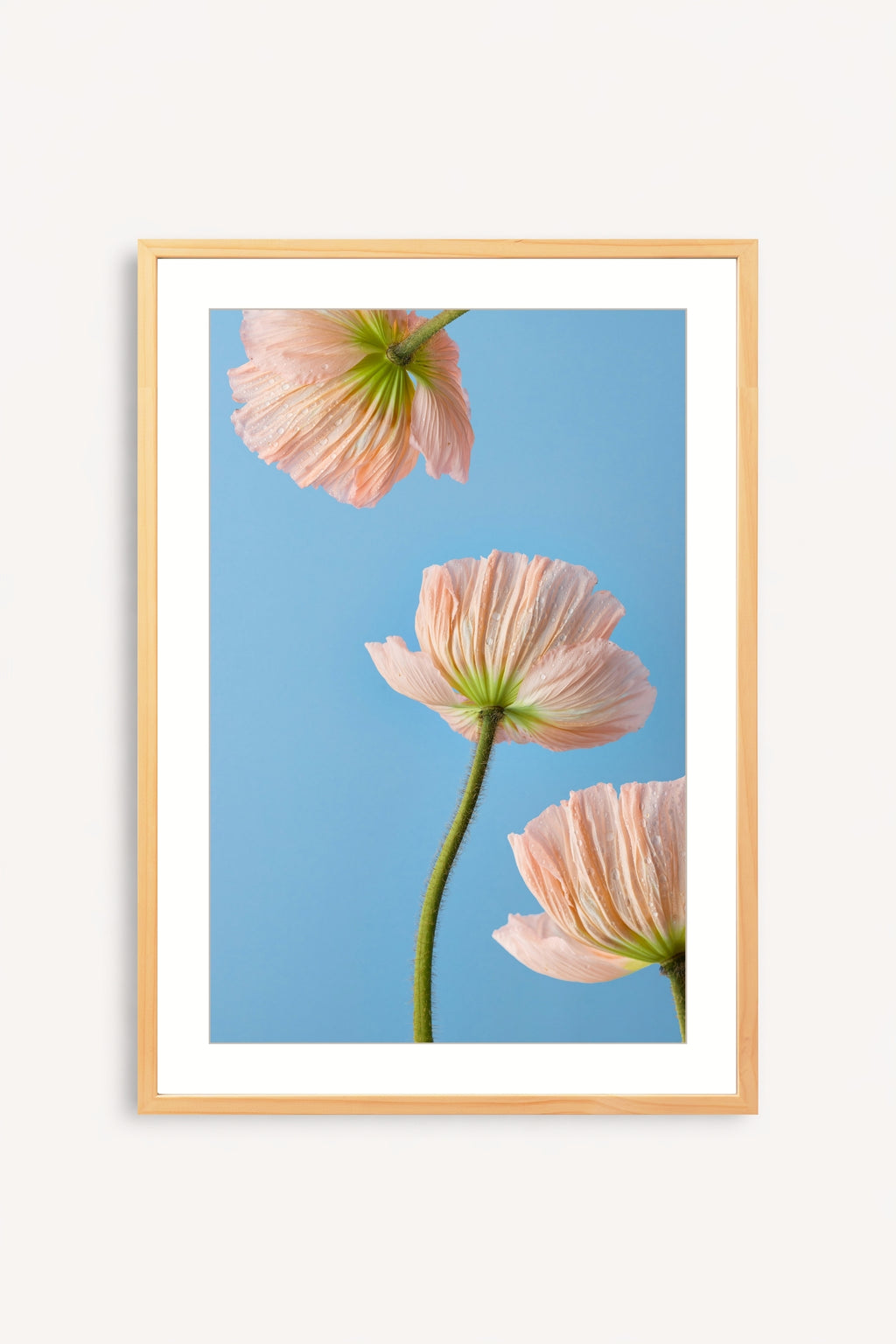 Esencia Floral