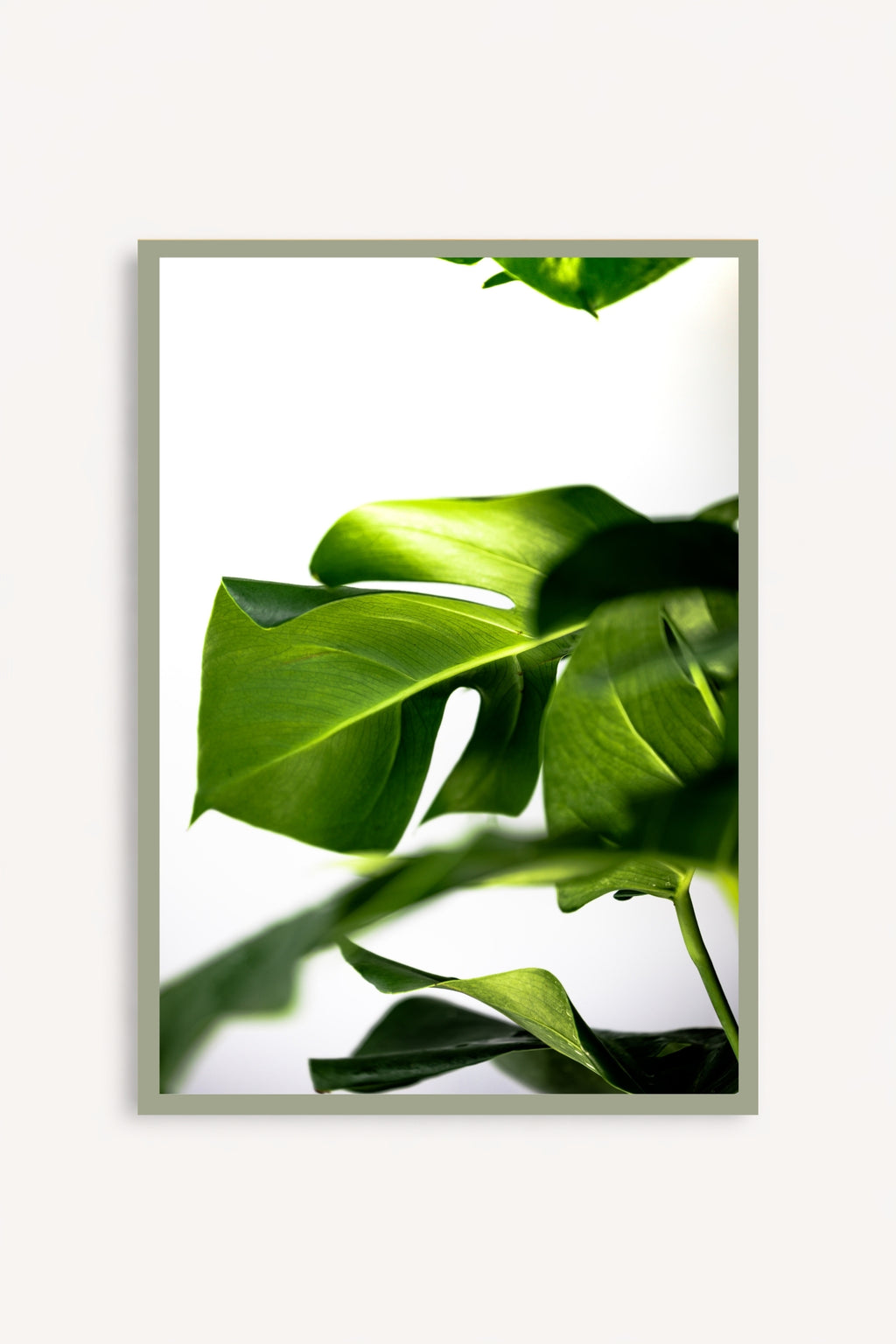 Greenery