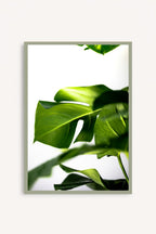 Greenery