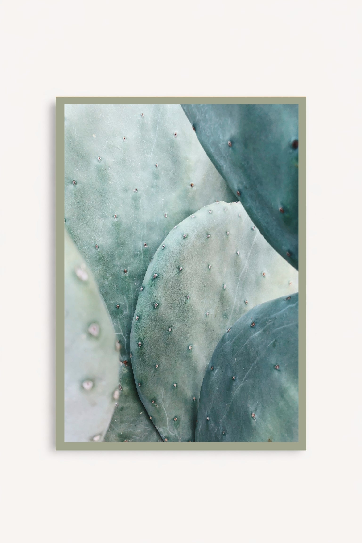 Mint Sage