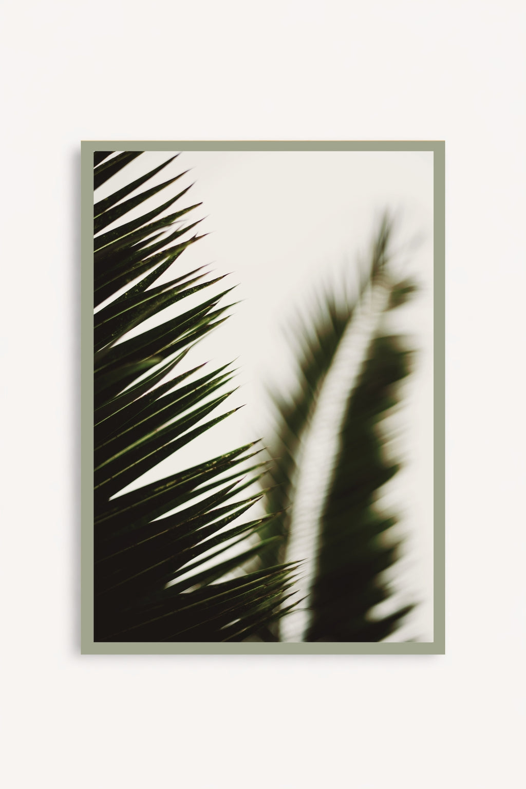 Palma I