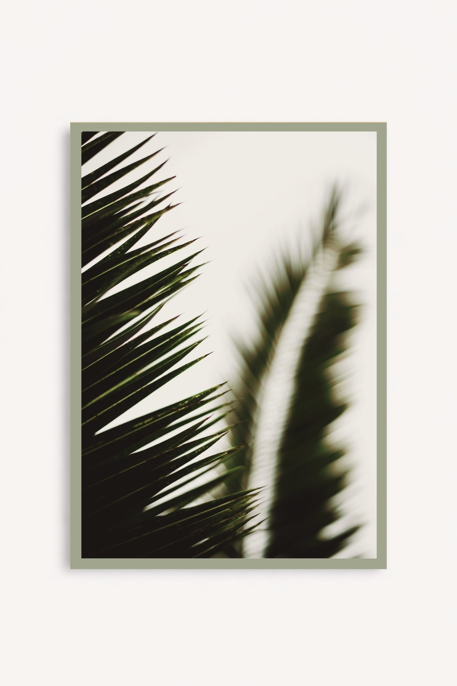 Palma I