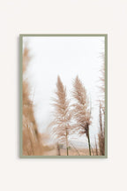 Pampas I