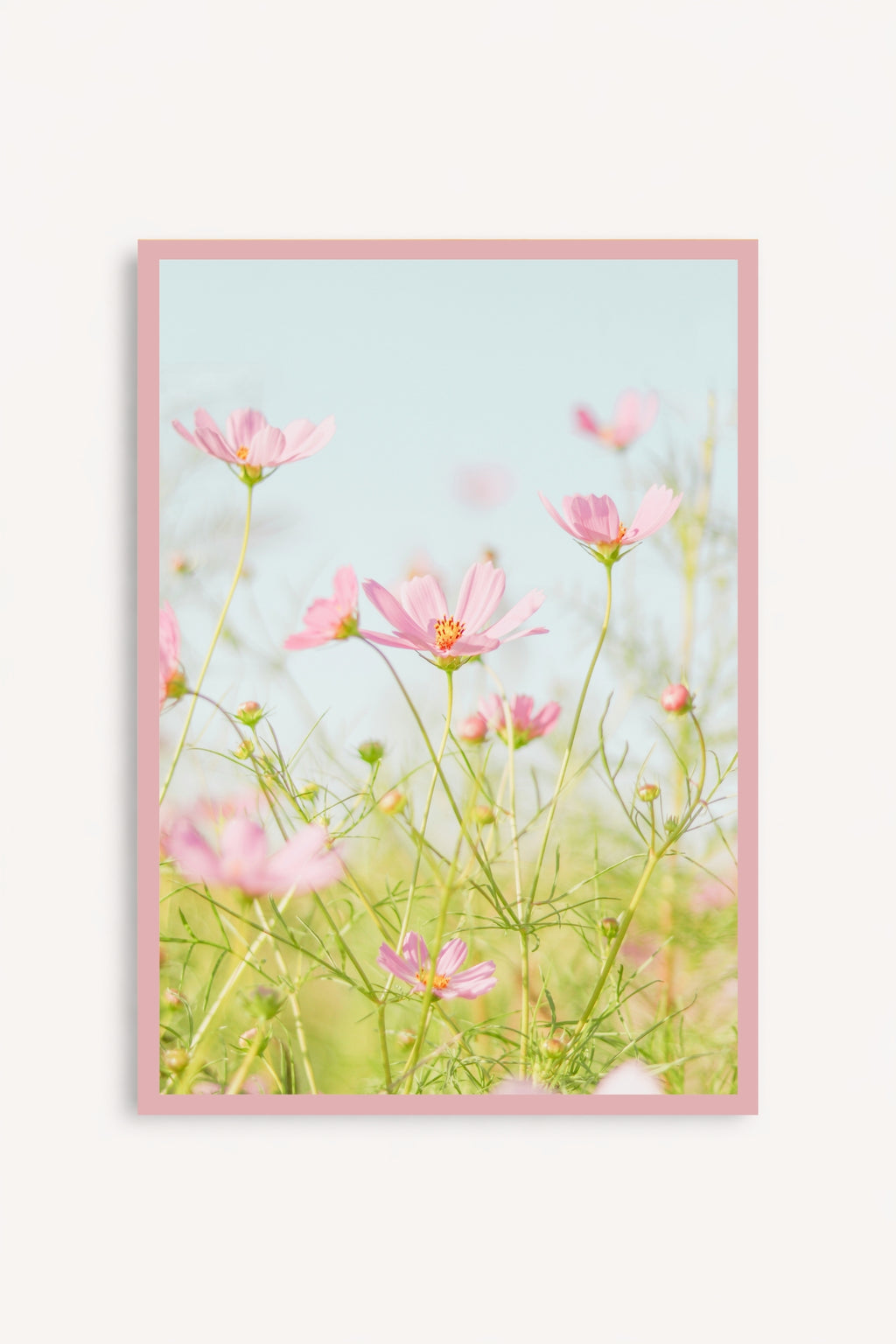 Flores Rosadas