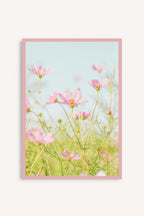 Flores Rosadas