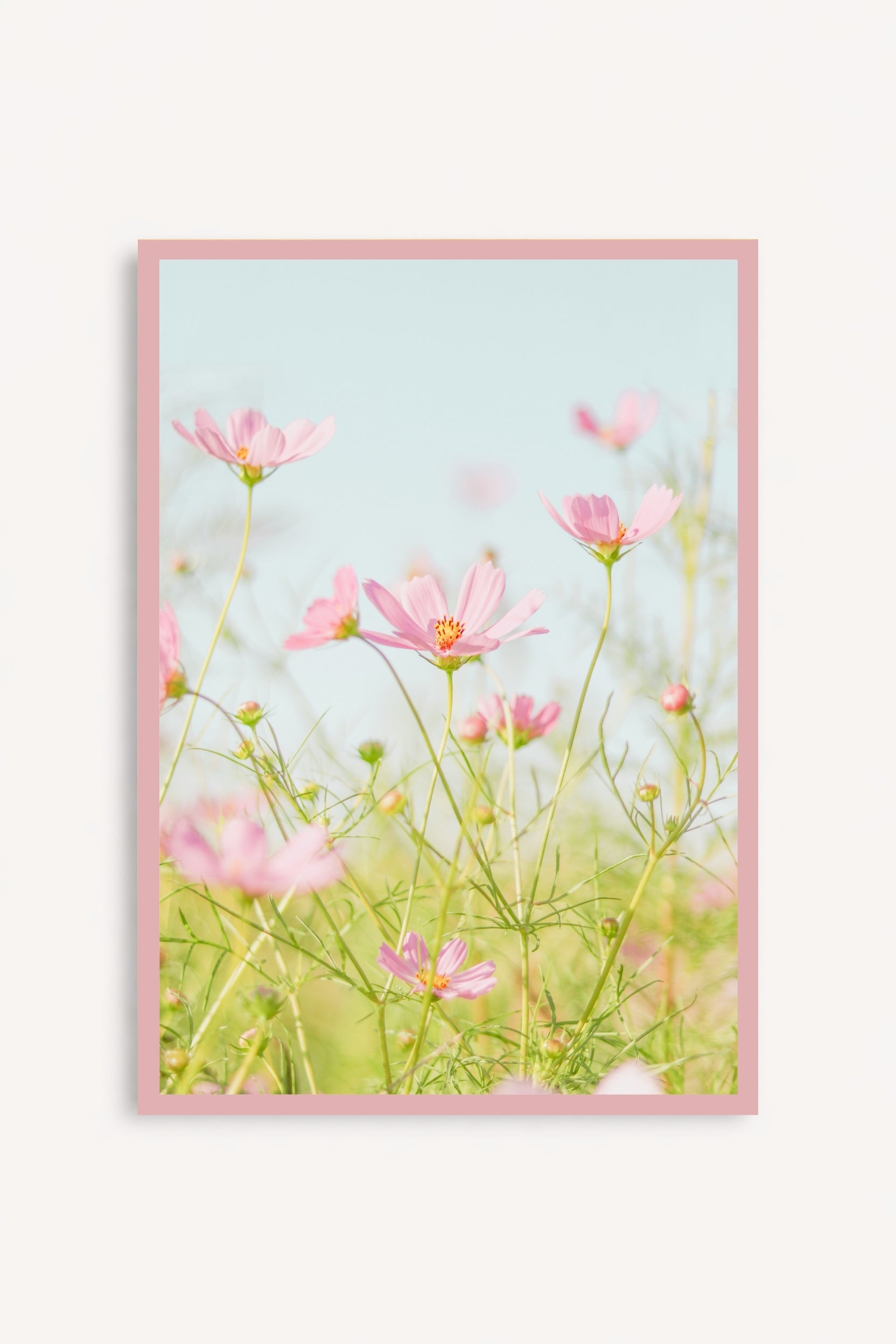 Flores Rosadas