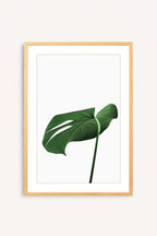 Soft Green