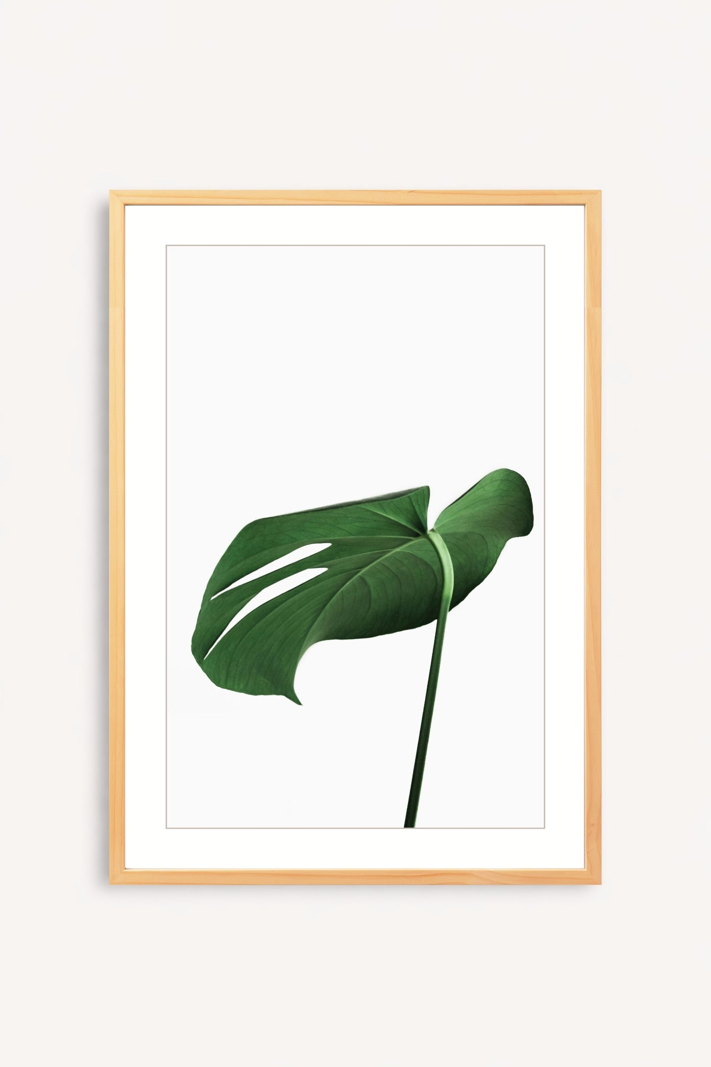 Soft Green