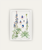 Cuadro Aconite