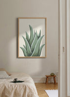Cuadro Aloe