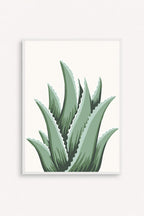 Cuadro Aloe
