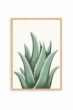 Cuadro Aloe