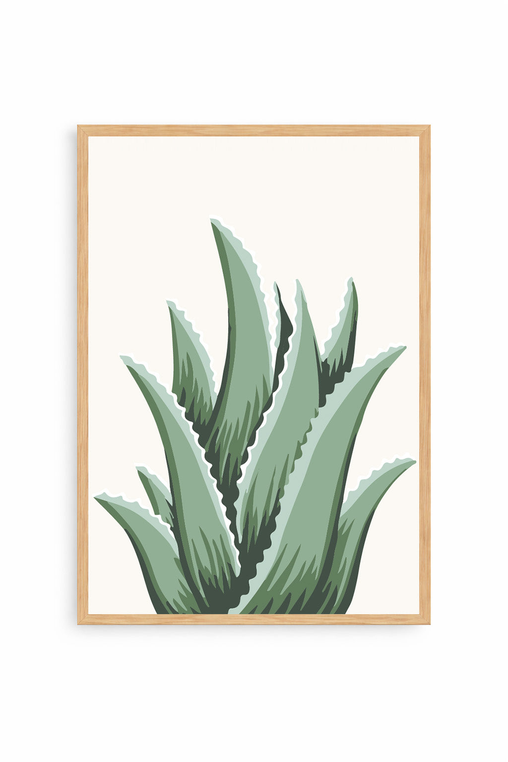 Cuadro Aloe
