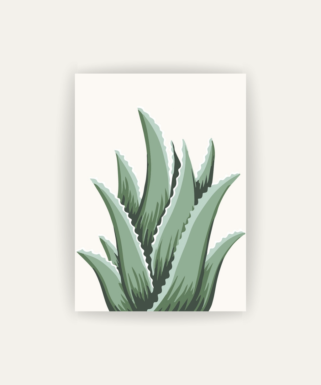 Cuadro Aloe
