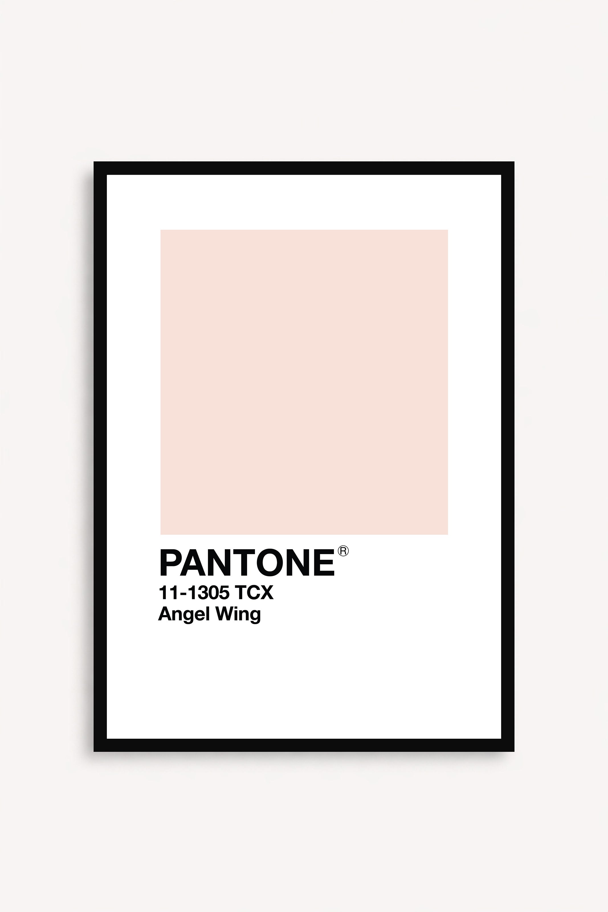 Angel Wing