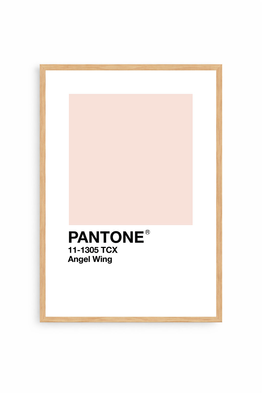 Angel Wing