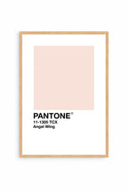 Angel Wing