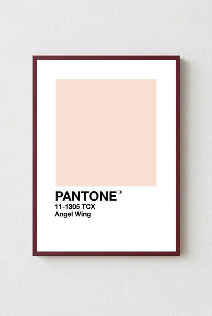 Angel Wing