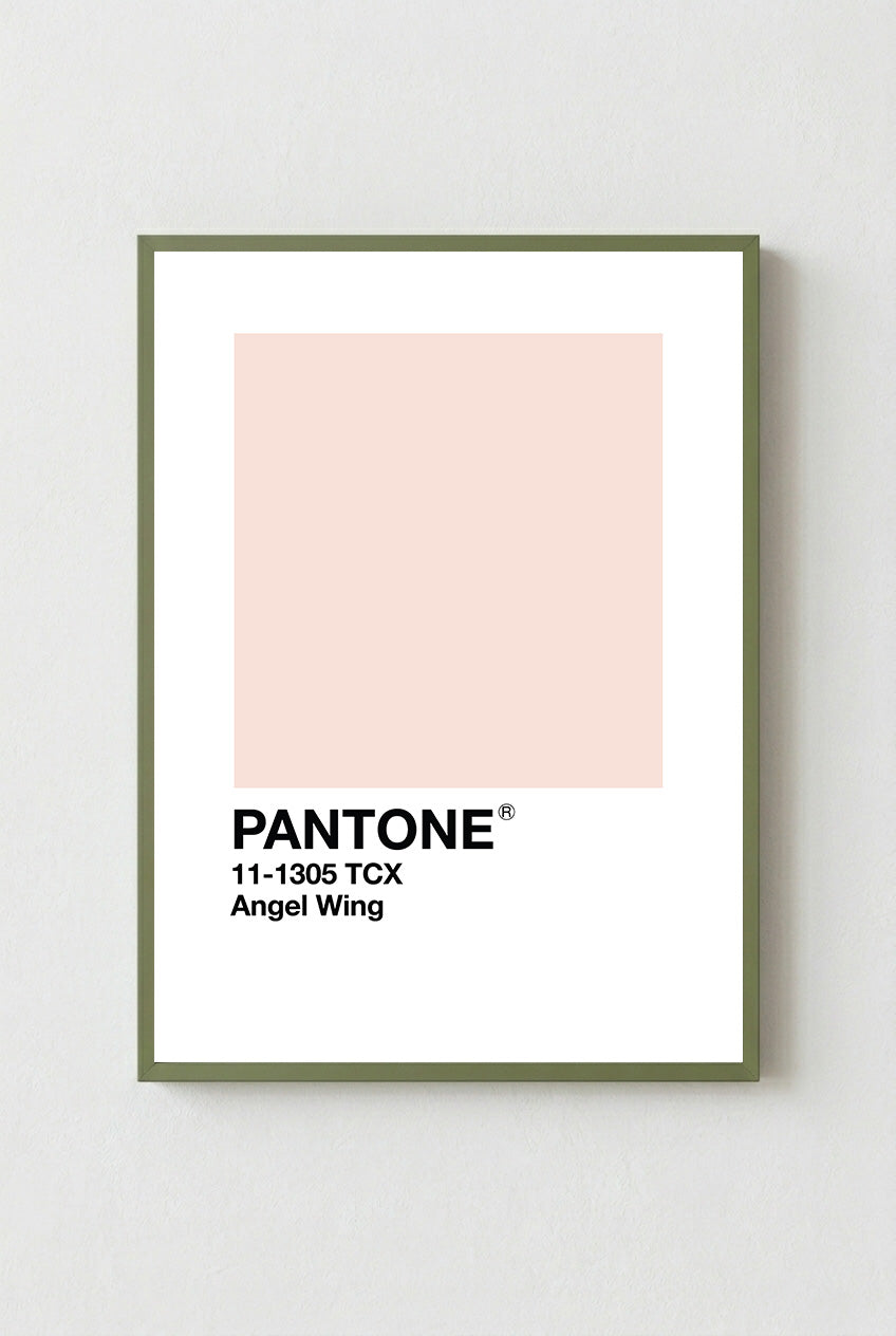 Angel Wing