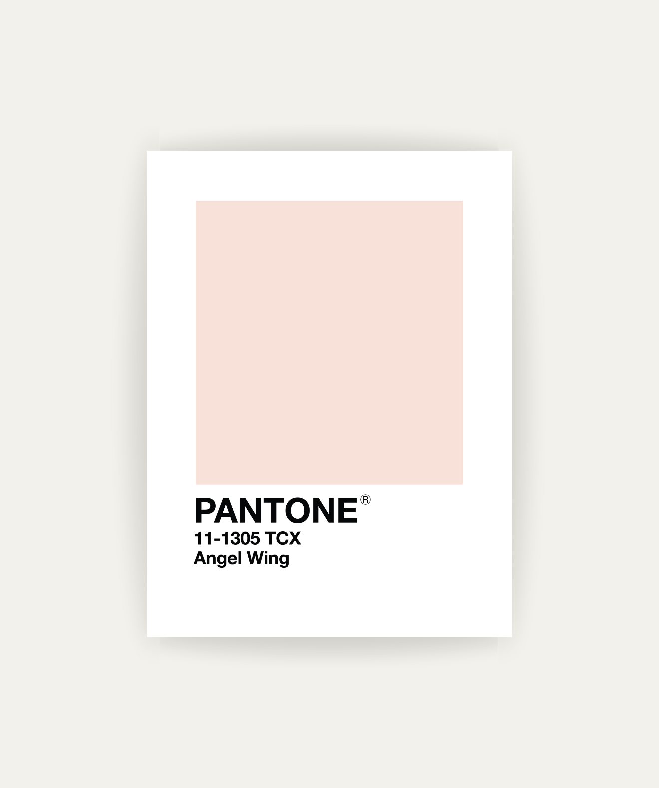 Angel Wing