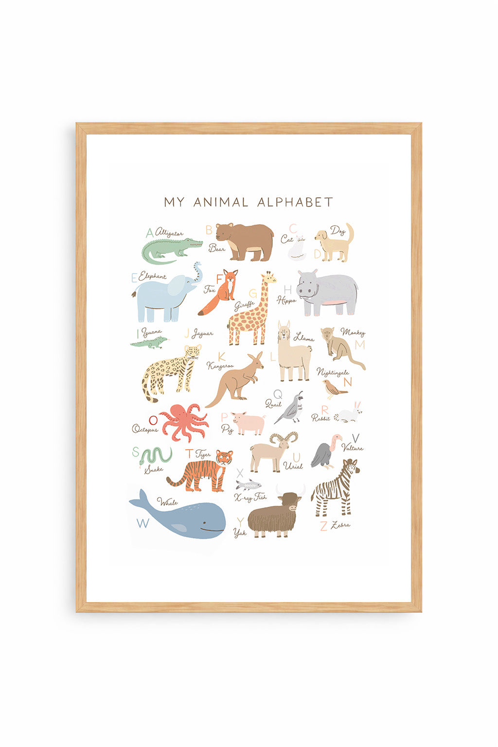 Animal Alphabet