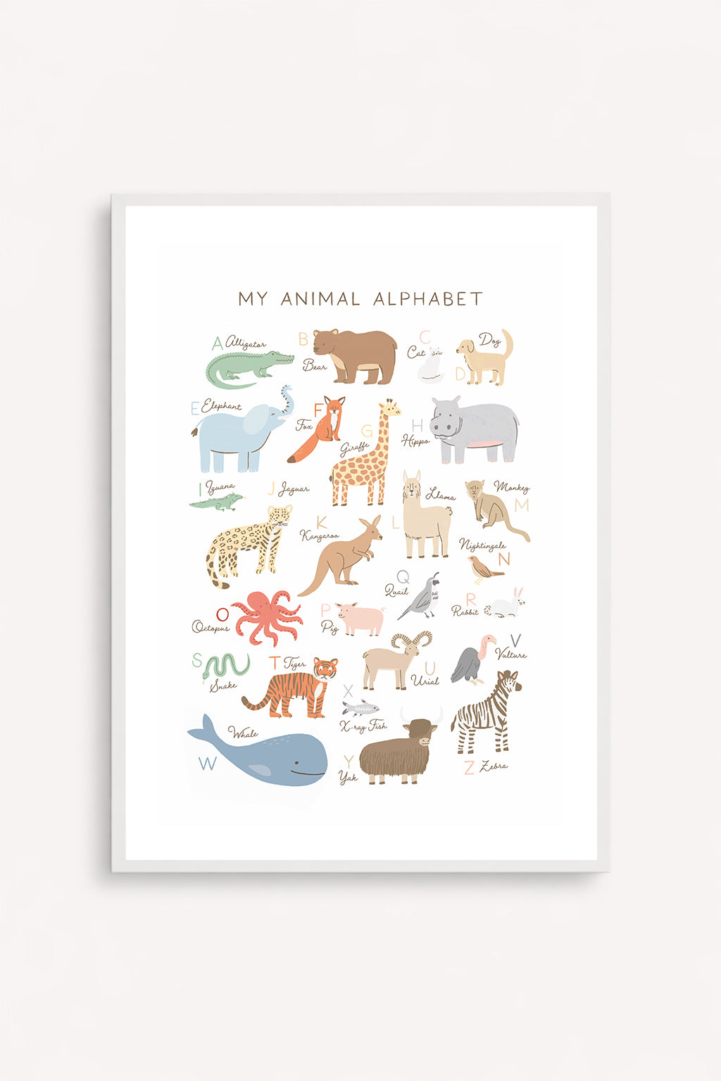 Animal Alphabet