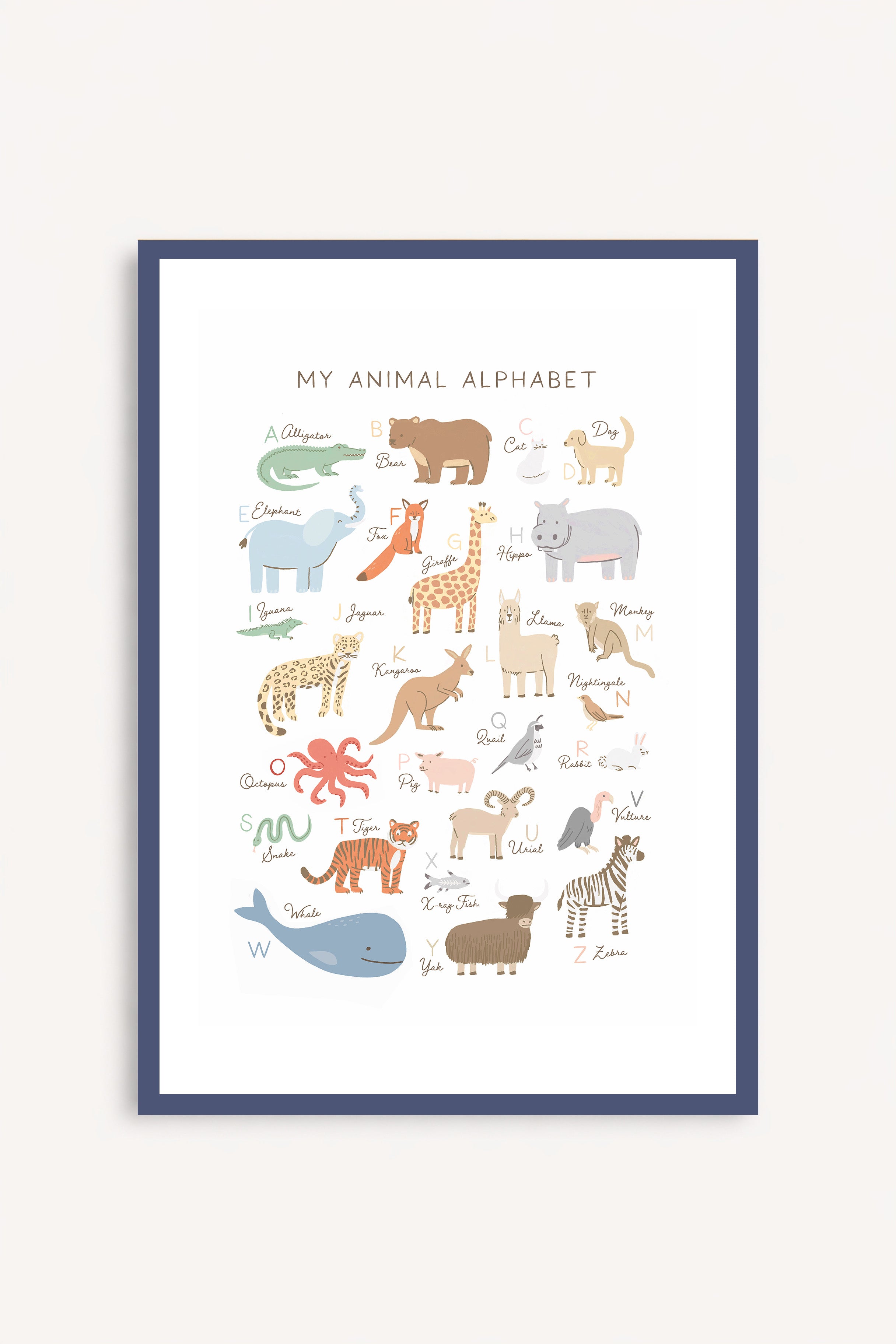 Animal Alphabet