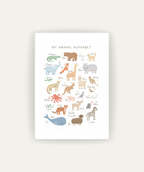 Animal Alphabet