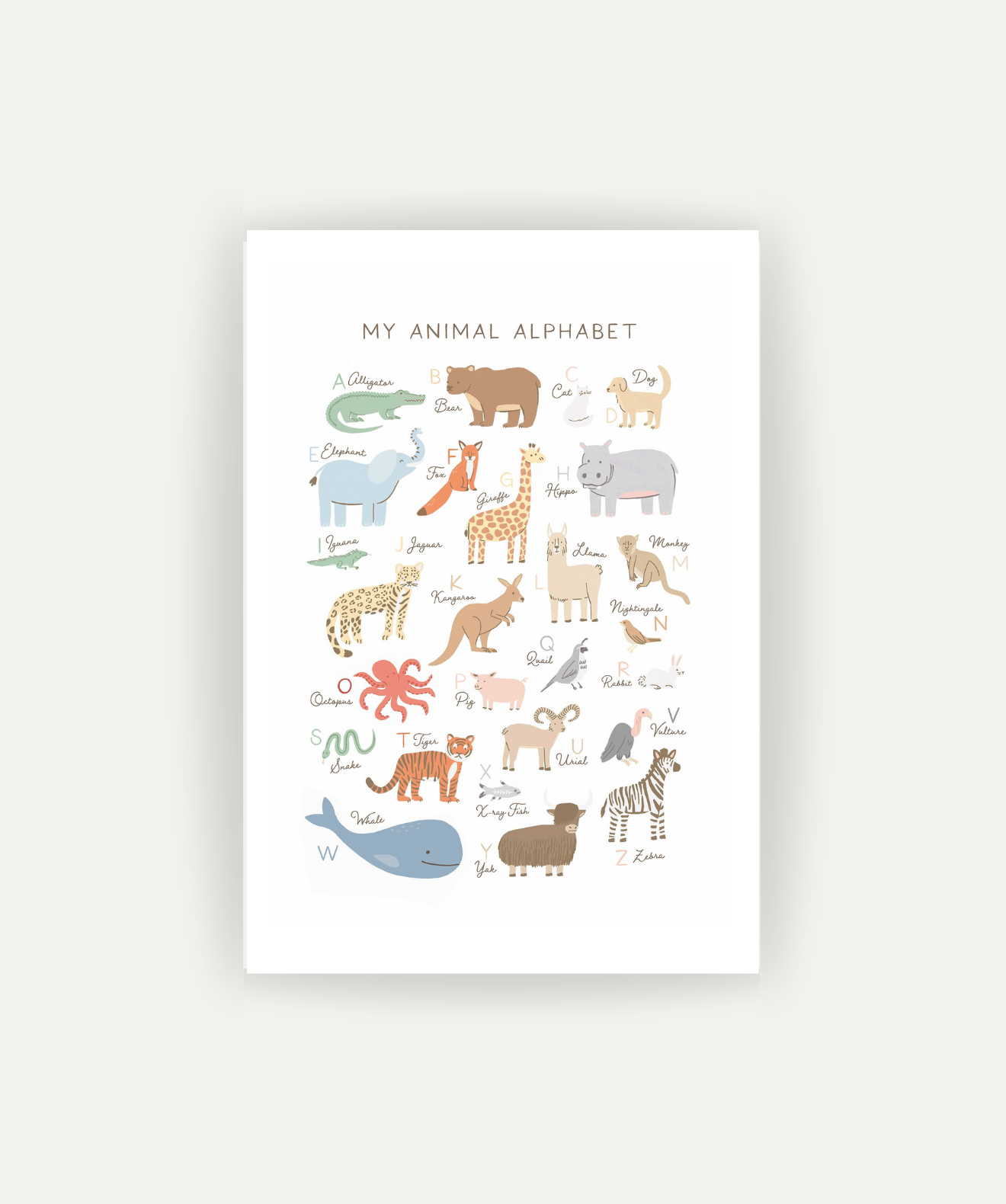 Animal Alphabet