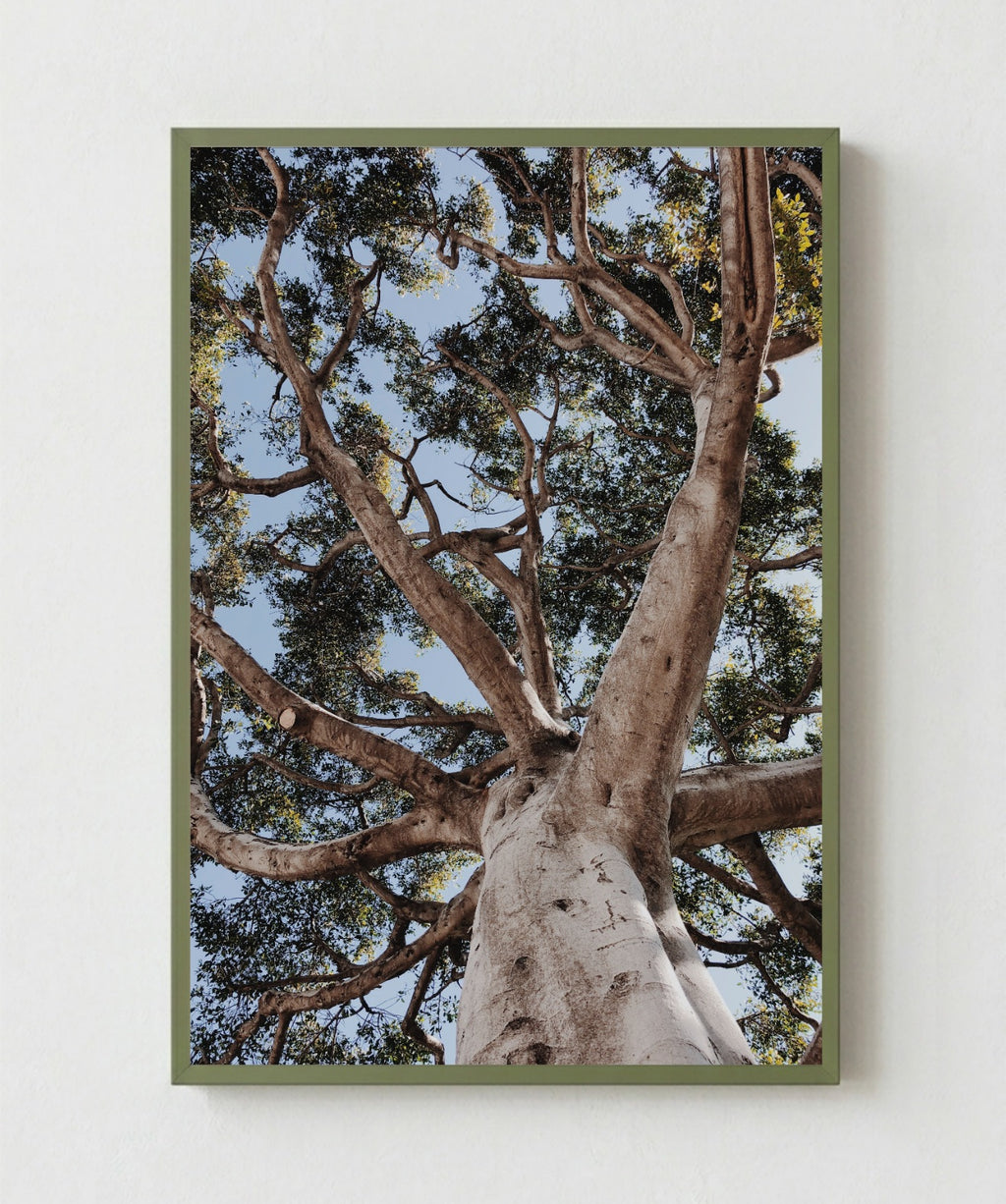 Arbol de la Vida