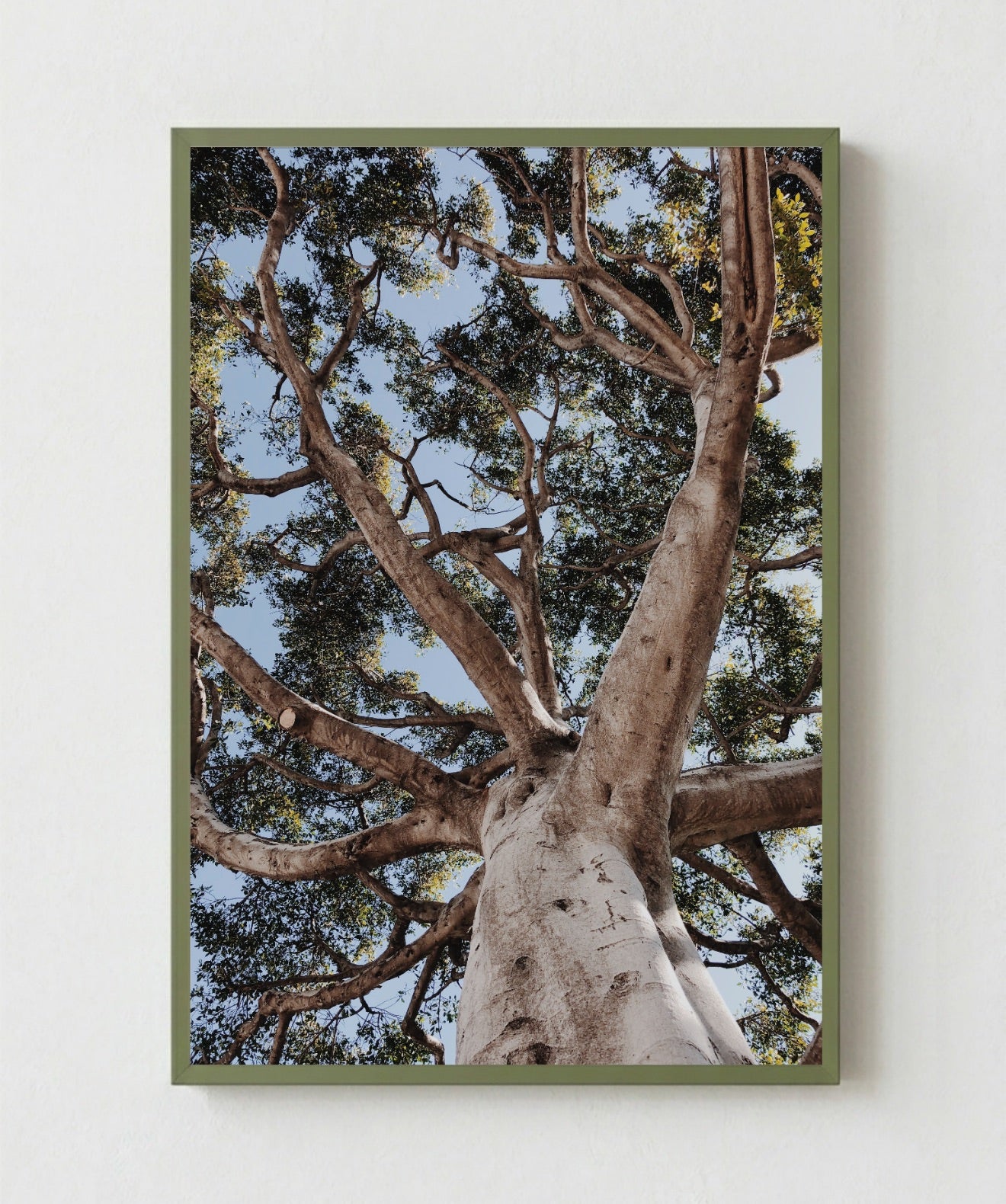 Arbol de la Vida