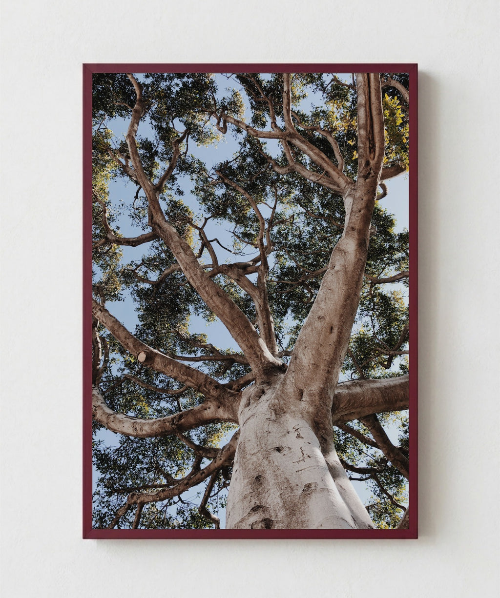 Arbol de la Vida