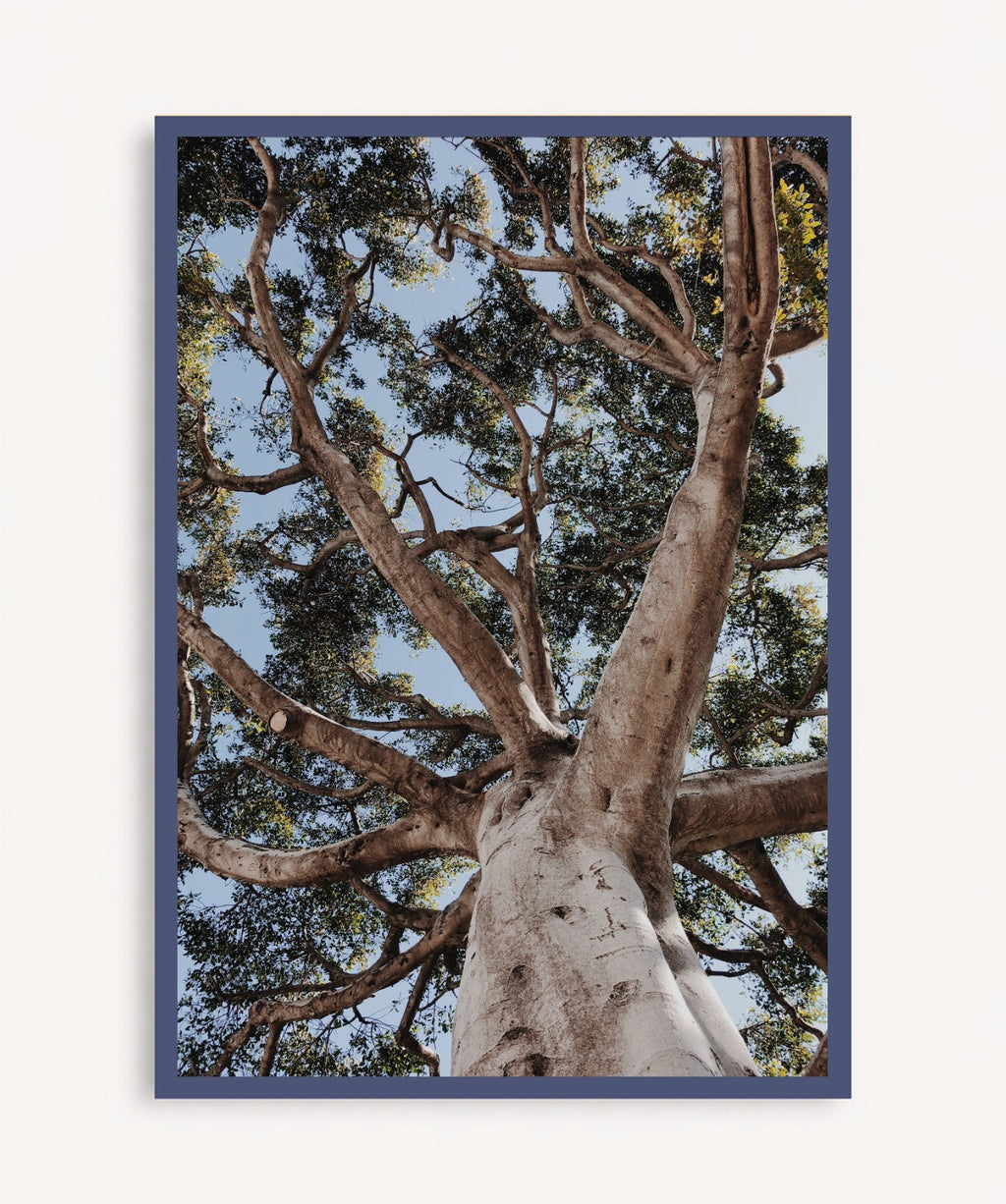 Arbol de la Vida