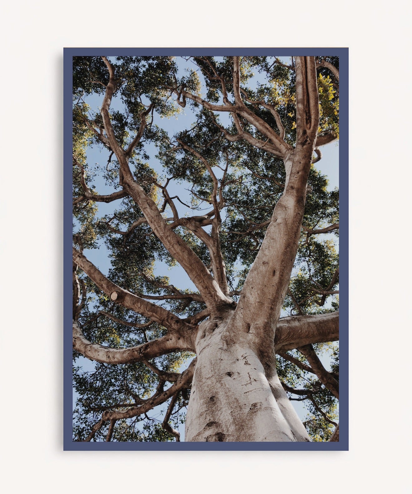 Arbol de la Vida