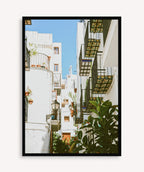 Balcones