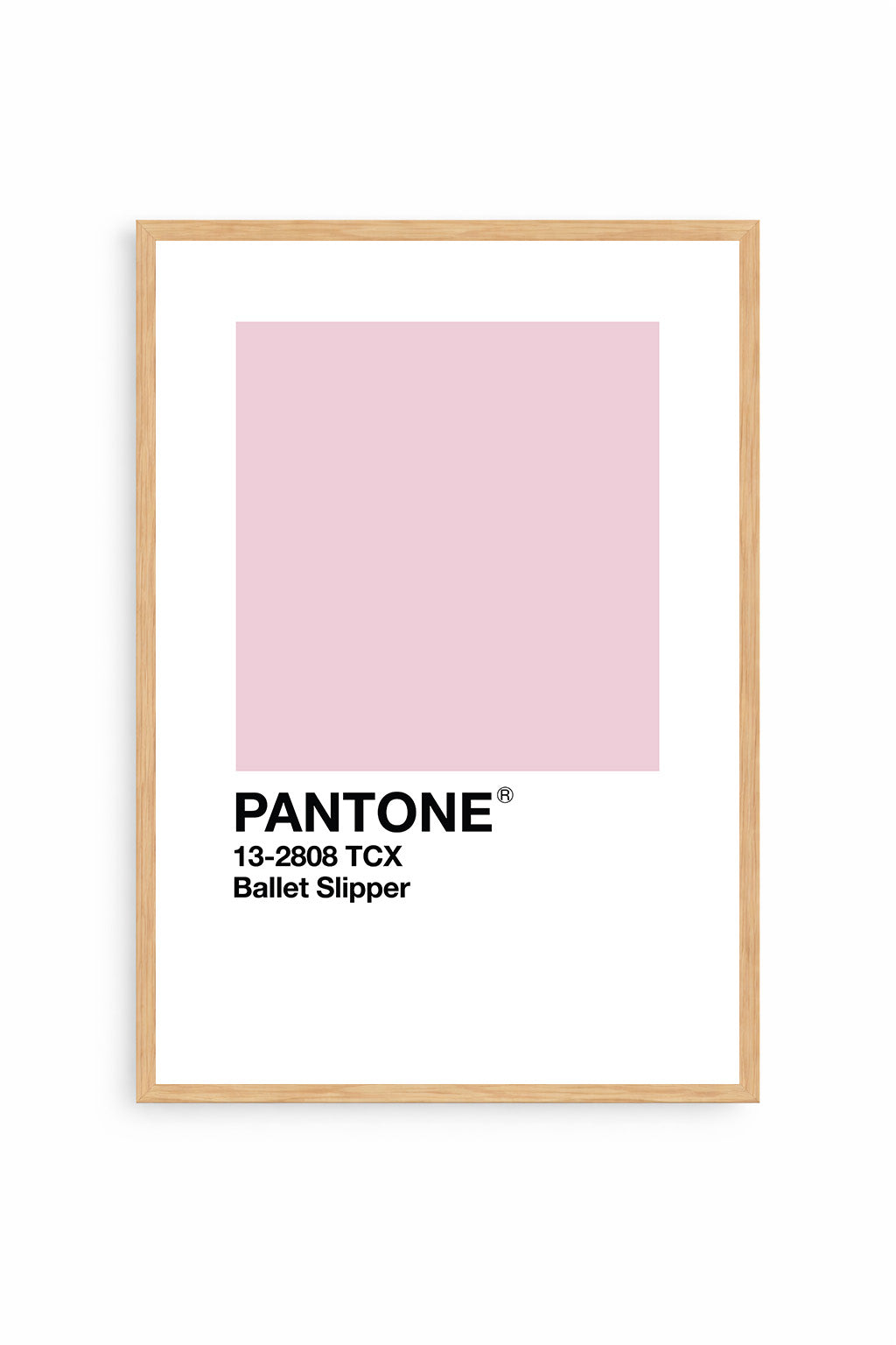 Ballet Slipper