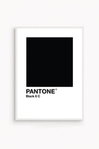 Black Pantone