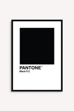 Black Pantone