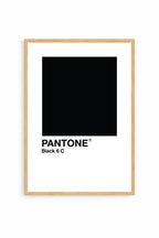 Black Pantone