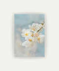 Blossom