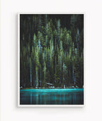 Bosque Encantado