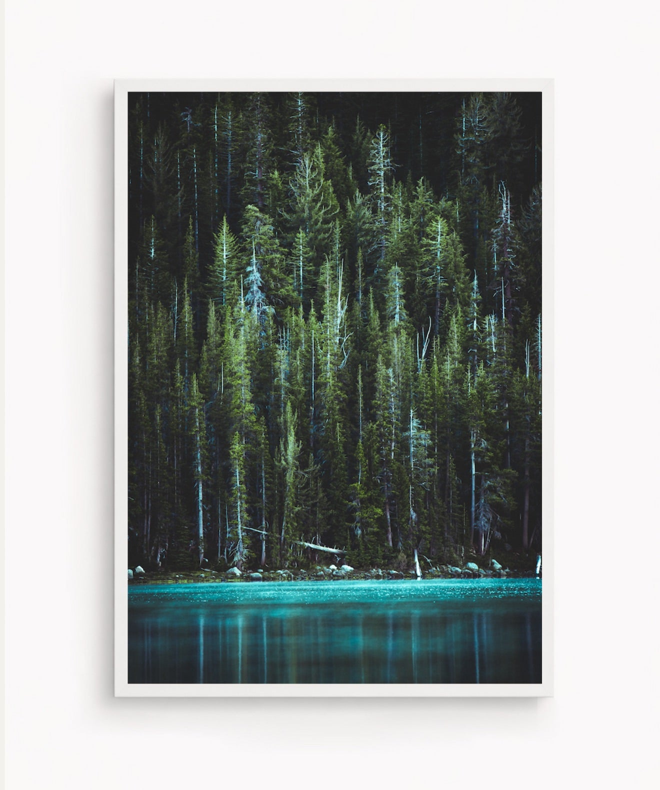 Bosque Encantado