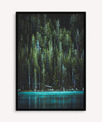 Bosque Encantado